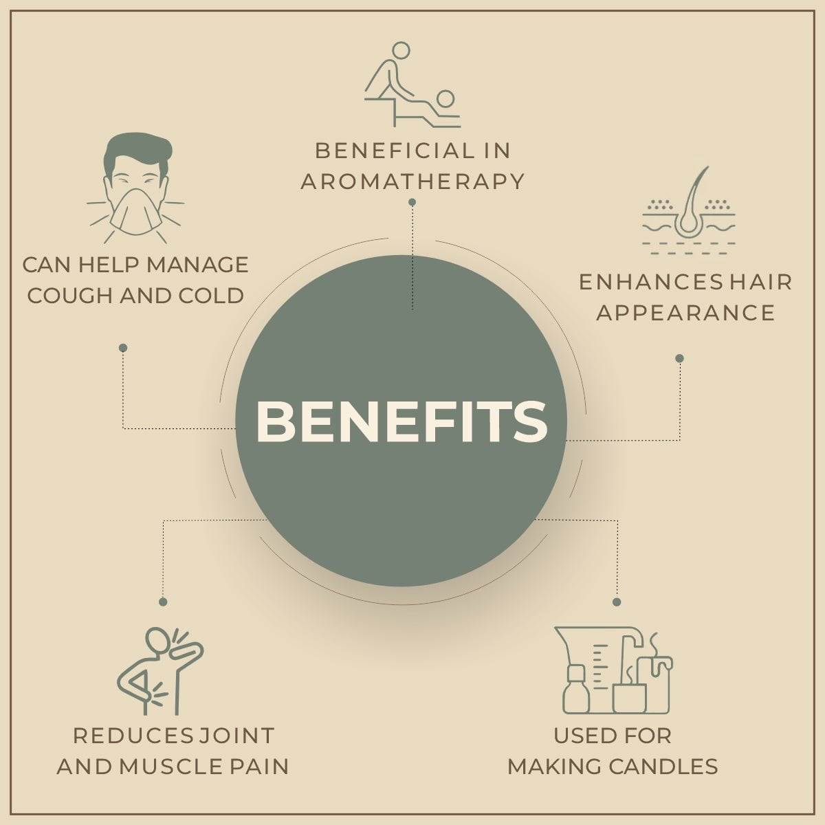 Shoprythm Natural Essential Oils Petitgrain Essential Oil Shoprythm Natural Essential Oils Petitgrain Essential Oil